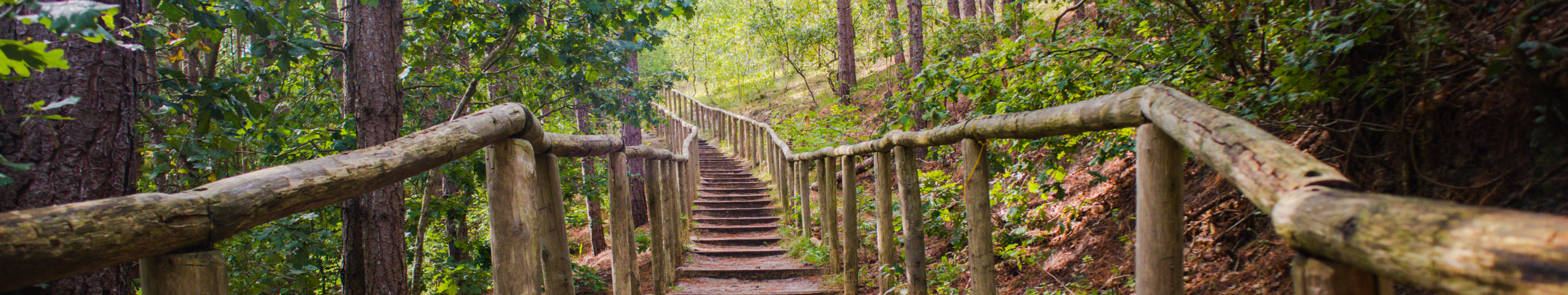Banner Schoorl - Noord-Holland - Nederland
