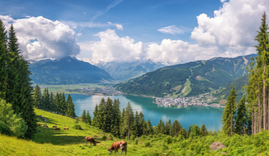 Aandachtstrekker  Suisse Romande/Jura