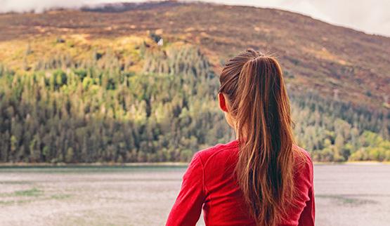 Vakantiehuis thema Huisje in het bos
