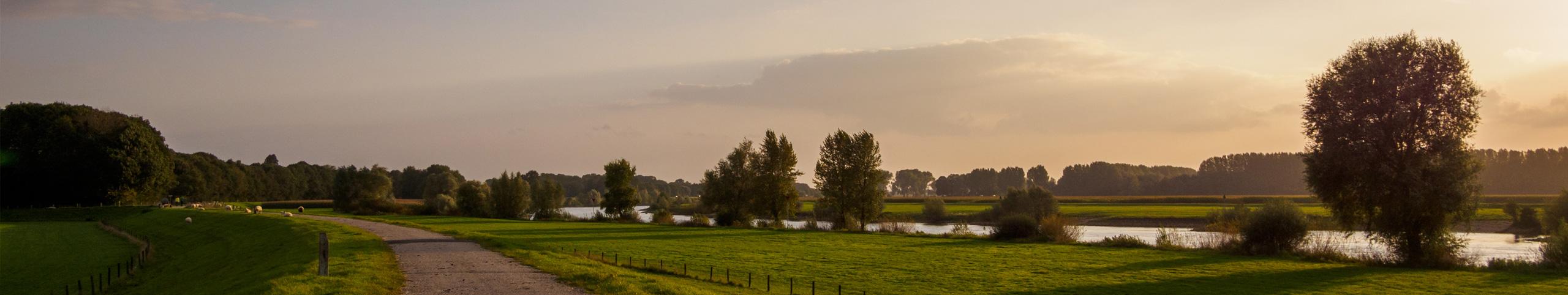 Banner Vakantiehuis 4 personen