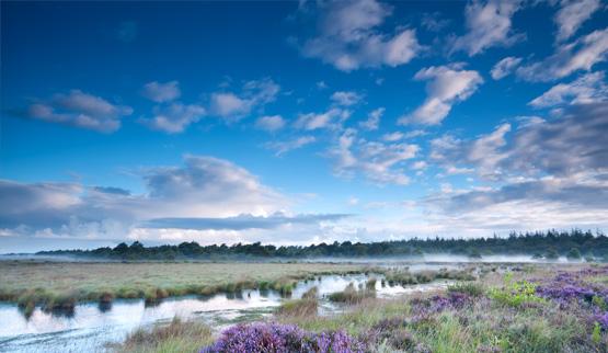 Vakantiehuis thema Vakantiehuis 30 personen