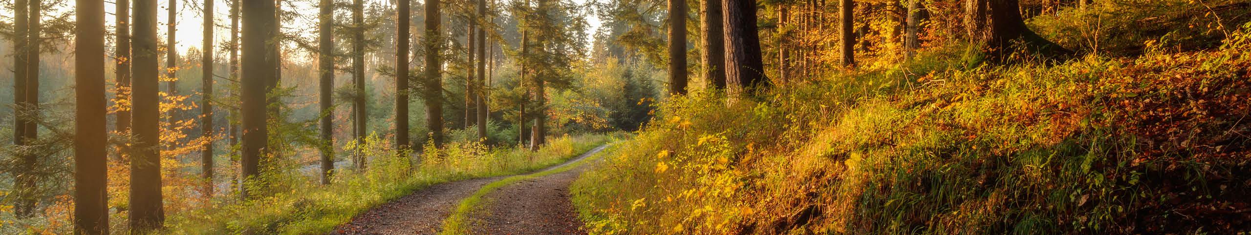 Banner Last minute vakantiehuis Duitsland