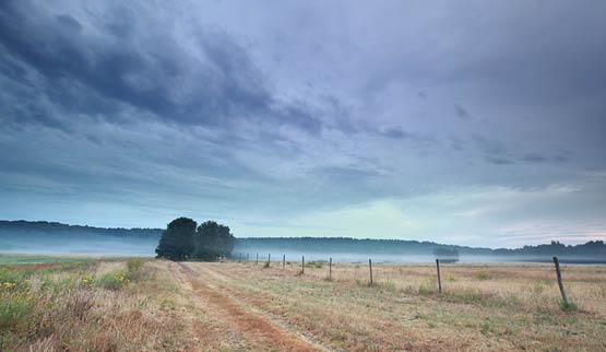 Vakantiehuis thema Last minute vakantiehuis België