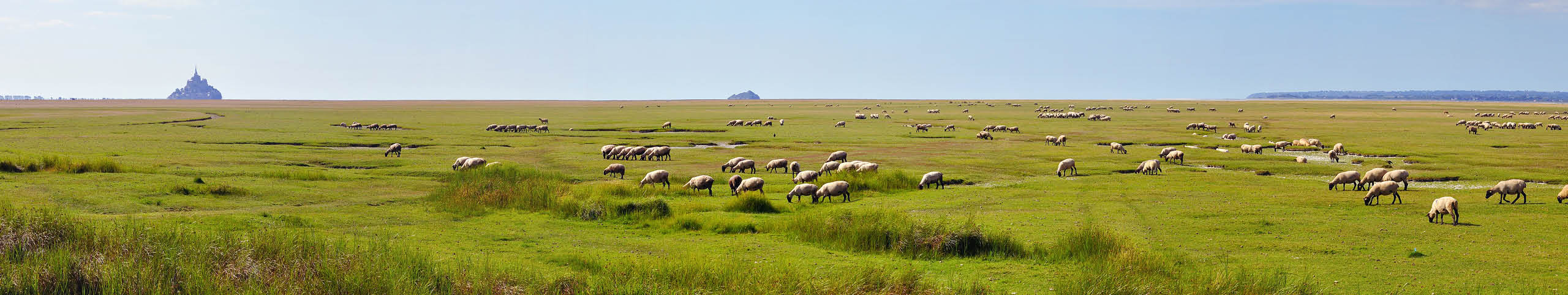 Banner Noord-Frankrijk - Frankrijk