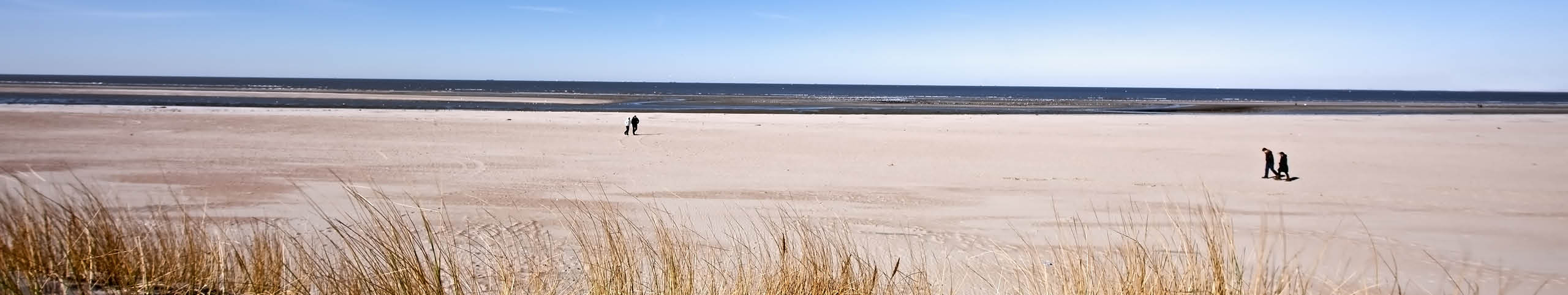 Banner Nederlandse kust - Nederland