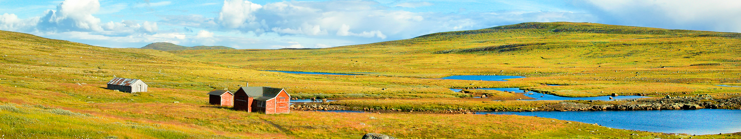 Banner Midden-Zweden - Zweden