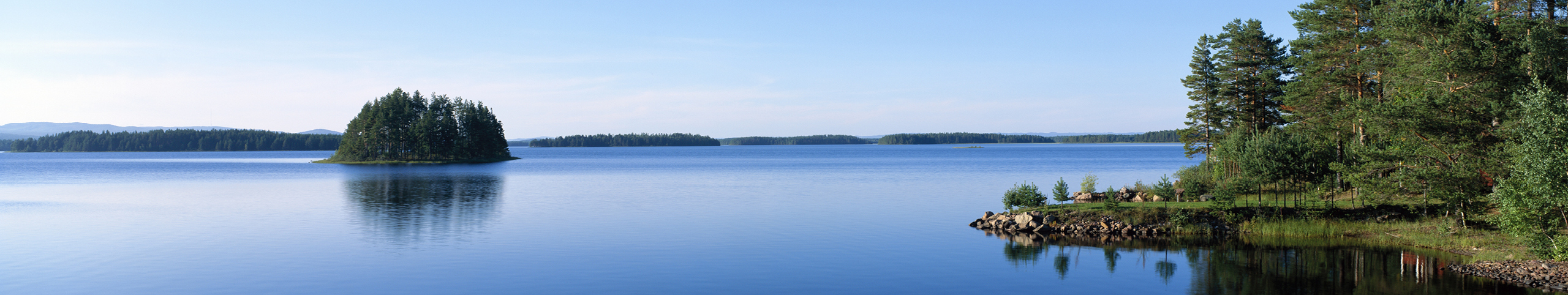 Banner Zuid-Zweden - Zweden