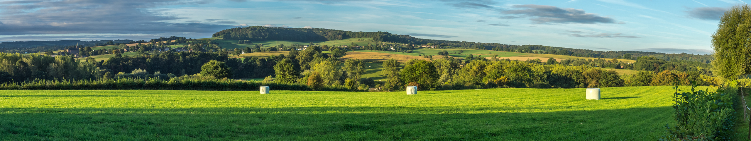 Banner Noord-Limburg - Nederland