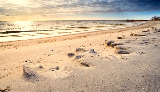 Vakantiehuis thema Last Minute Nederlandse kust