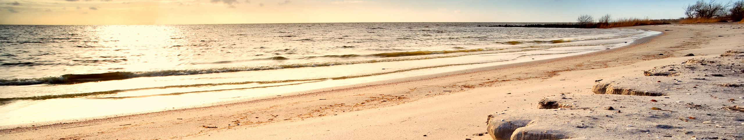 Banner Texel - Waddeneilanden - Nederland