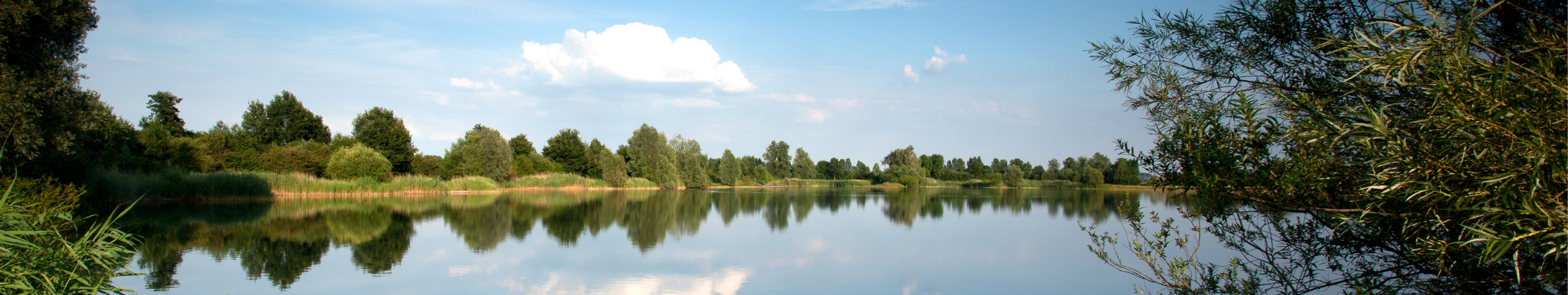 Banner Lauwersmeer - Groningen - Nederland