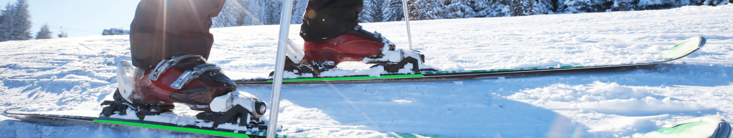 Banner Wintersport chalet oostenrijk