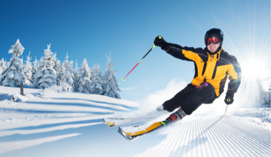 Vakantiehuis thema Wintersport chalet italie