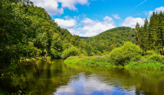 Vakantiehuis thema Weekendje weg Belgie